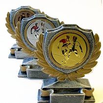 Kleine Fussballtroph&auml;e