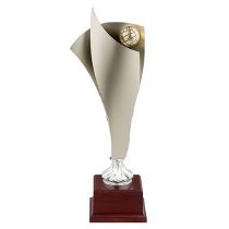 Volleyballpokal-Kerberos