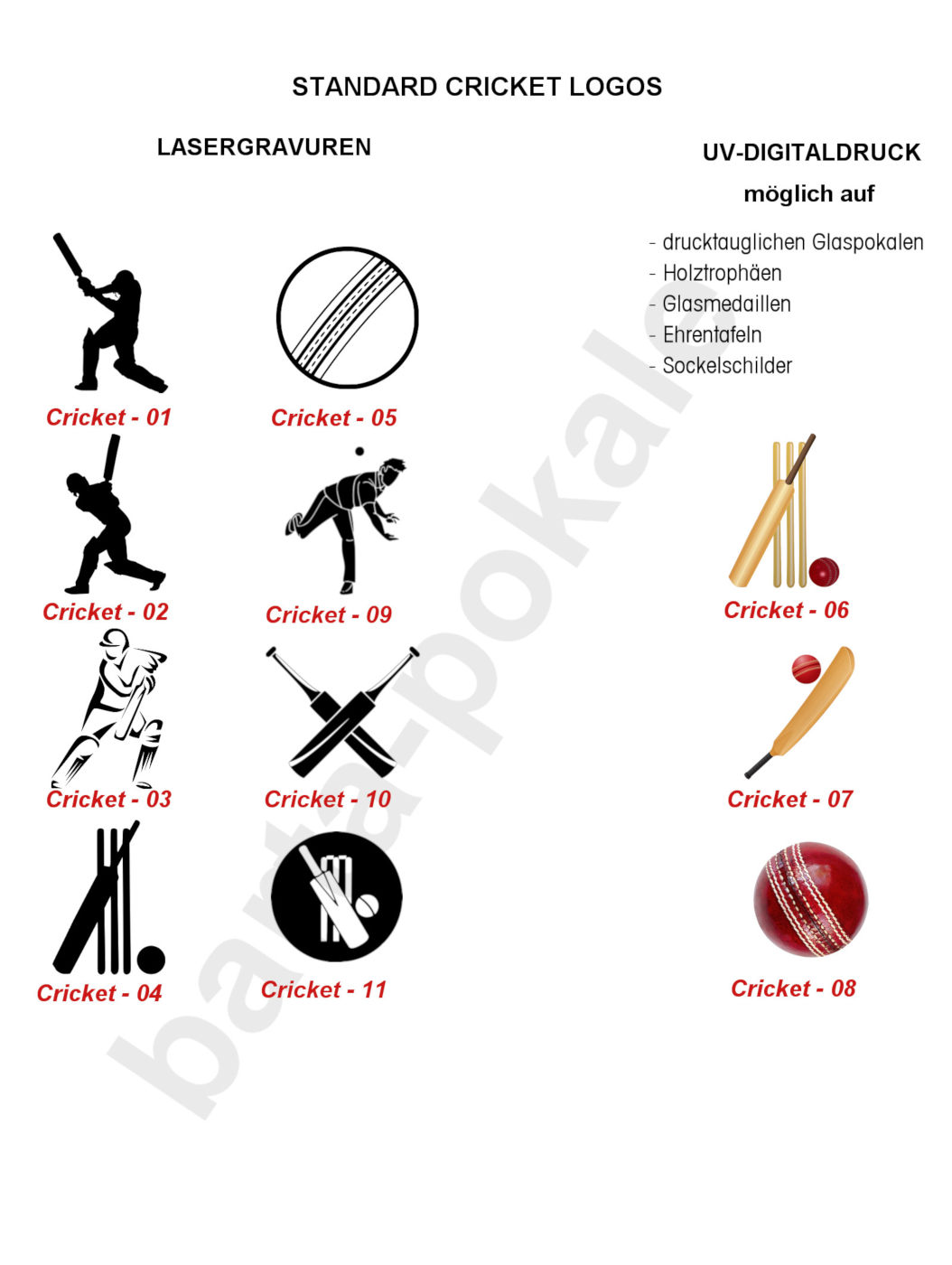 Standard Logos Cricket