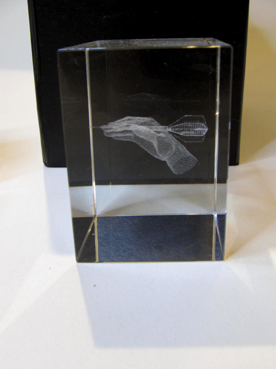 Glaspokale mit Gravur, Glastrophäen, Glasawards, 3D Foto Glasgravur, Pokale:  3D-Darttrophe