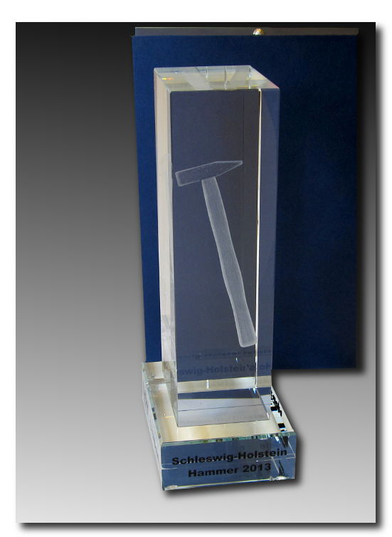 Glaspokale mit Gravur, Glastrophäen, Glasawards, 3D Foto Glasgravur, Pokale:  9-NDR-award