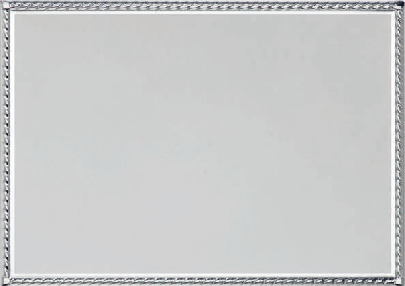 Ehrentafel Paris silber 