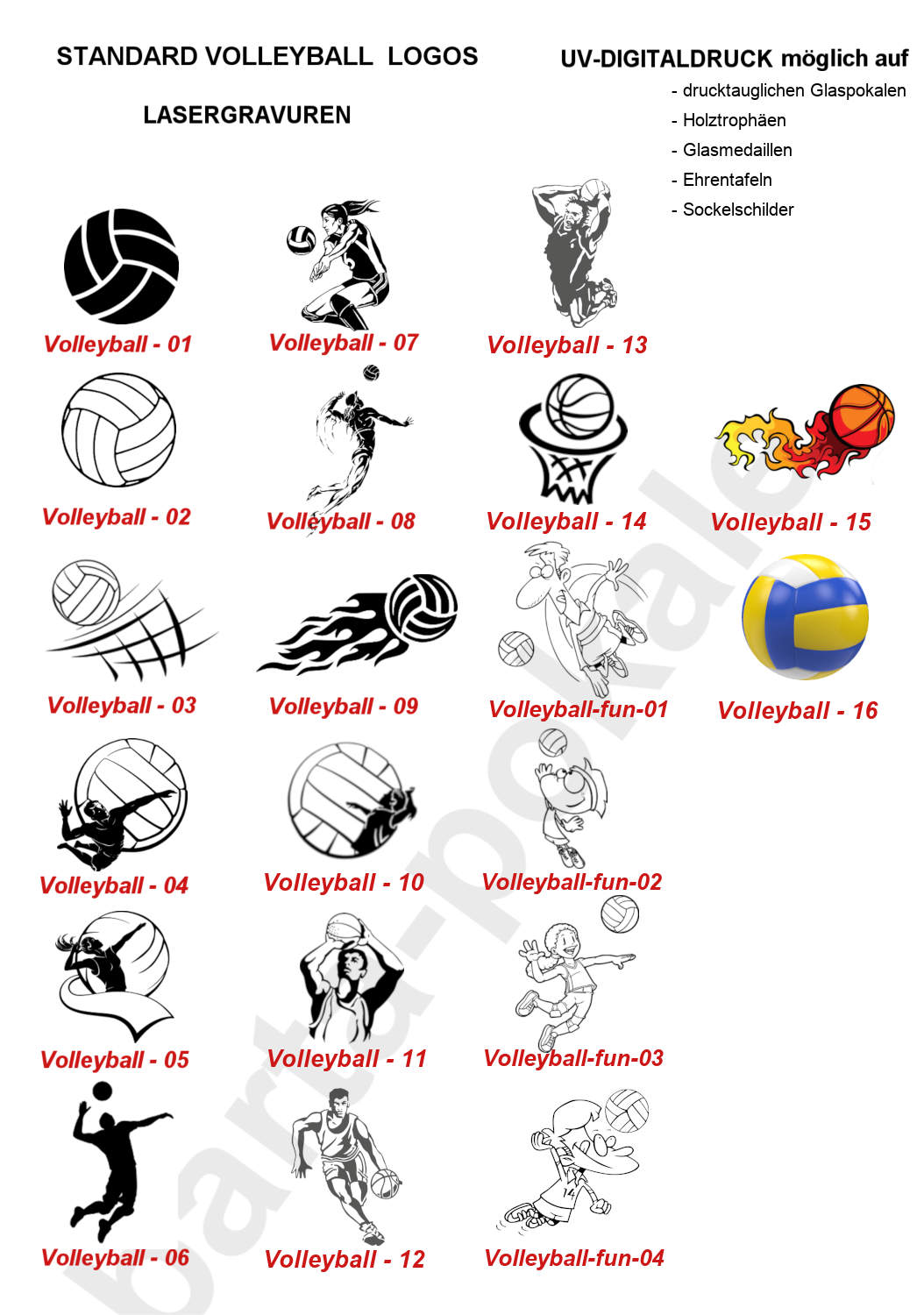 Standard Logos Volleyball